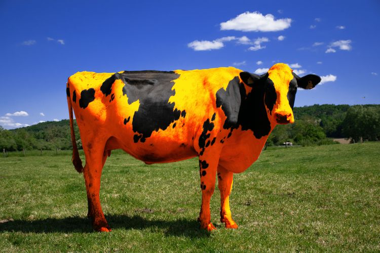 Bobine : un shooting qui s'assume